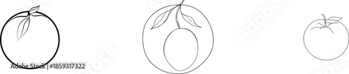 One line drawing is used to create a modern illustration of an oval frame with floral patterns