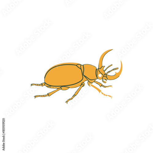 Illustration of a rhinoceros beetle, a type of scarab beetle known for its prominent horns