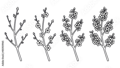 Botanical illustration of four plant branches. Spring Vector Packs. EPS Editable