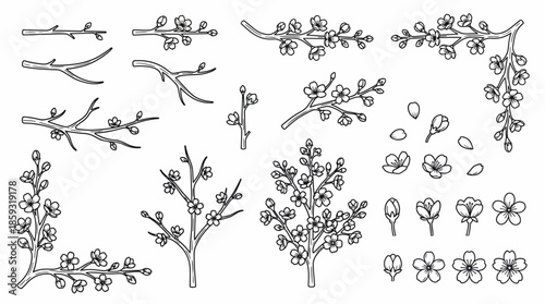 Botanical line drawings of flowering branches. Spring Vector Packs. EPS Editable