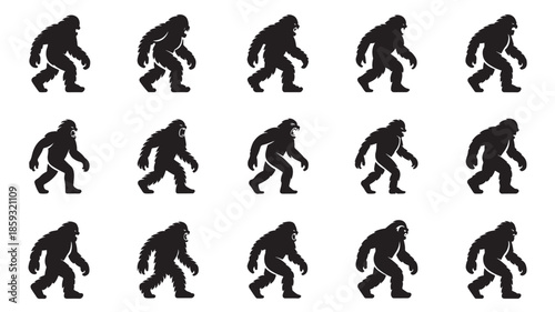 Human Evolution Silhouettes in Various Postures in Black on White Background for Educational Use