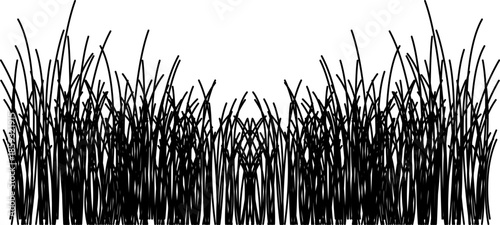 Grass line icon image. Outline grassland or meadow sketch, simple field design. Black grass brush stroke hand drawn texture for garden pattern or lawn. Herb marker. Grass silhouette, meadow border.