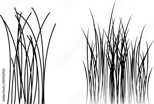 Grass line icon image. Outline grassland or meadow sketch, simple field design. Black grass brush stroke hand drawn texture for garden pattern or lawn. Herb marker. Grass silhouette, meadow border.