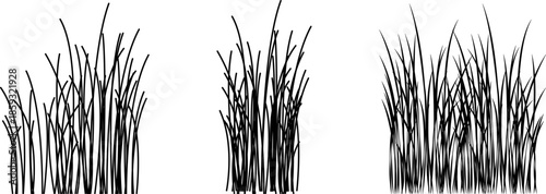 Grass line icon image. Outline grassland or meadow sketch, simple field design. Black grass brush stroke hand drawn texture for garden pattern or lawn. Herb marker. Grass silhouette, meadow border.