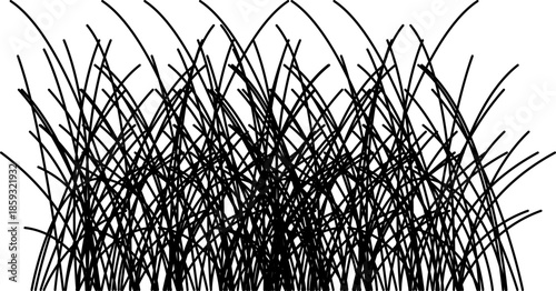 Grass line icon image. Outline grassland or meadow sketch, simple field design. Black grass brush stroke hand drawn texture for garden pattern or lawn. Herb marker. Grass silhouette, meadow border.