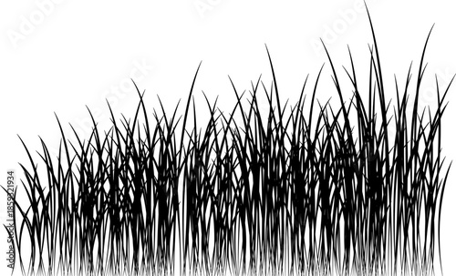 Grass line icon image. Outline grassland or meadow sketch, simple field design. Black grass brush stroke hand drawn texture for garden pattern or lawn. Herb marker. Grass silhouette, meadow border.