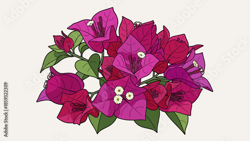 Bougainvillea Flowers with Green Leaves.