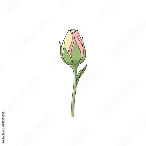 A delicate, unopened rosebud with soft pink and yellow petals, symbolizing budding romance and new beginnings