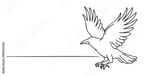 Dynamic continuous line drawing portraying a raven or crow in a striking takeoff or landing pose with wings spread, perfect for abstract bird symbolism, modern branding, and educational