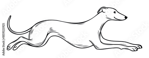 Stylized greyhound dog captured in a dynamic running pose, perfect for animal themed designs, pet shop logos, athletic sportswear, and sleek graphic print applications