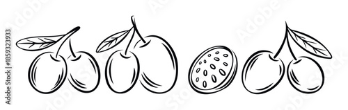 Black and white line drawing of various fruits including cherries, olives, and passion fruit perfect for food branding, healthy eating promotions, or menu decorations