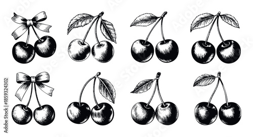 Collection of hand drawn cherry fruit illustrations in an engraved style perfect for vintage food packaging designs recipe books or summer themed graphic resources