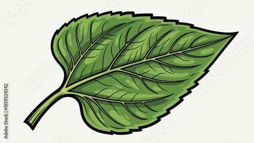 Detailed Illustration of a Green Leaf.
