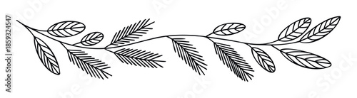 Hand drawn botanical branch with different leaf types offers a versatile organic decoration for elegant greeting cards, wedding invitations, branding, and natural themed graphic layouts.