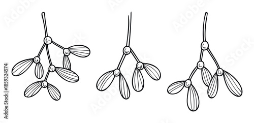Stylized black and white line drawing of mistletoe branches featuring leaves and berries, ideal for creating festive Christmas greetings, winter holiday invitations, or decorative botanical