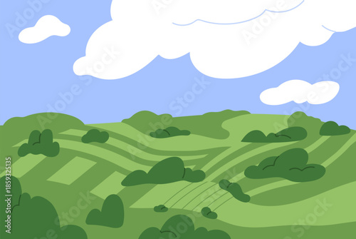 Nature landscape. Green grass hills, field, clouds in sky. Calm peaceful rural valley, open air countryside environment. Serene country scenery on summer day. Flat vector illustration