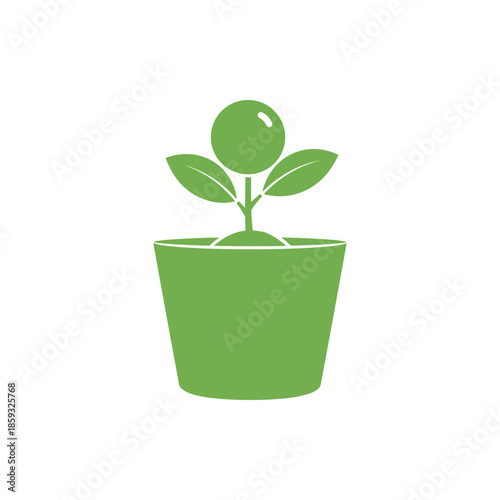 Simple green plant growing in a pot, symbolizing growth and nature's freshness