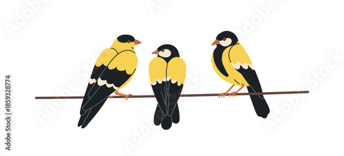 Goldfinches perched on wire. Small European birds sitting together in group, from behind. Songbirds clinging on electric cable, string. Flat vector illustration isolated on white background