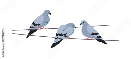 Pigeons perched on wire. Urban birds group sitting together on electric cable, power line, from behind, relaxing on string, cord. Flat vector illustration isolated on white background