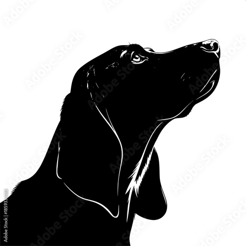 “Graphic silhouette illustration of a dog with floppy ears, looking upward, smooth contours, clean and modern style.”