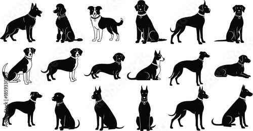 Detailed Black and White Vector Illustration Set Featuring Diverse Dog Breed Silhouettes Seated Poses and Distinctive Canine Profiles