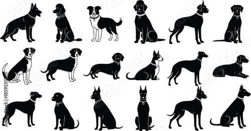 Detailed Black and White Vector Illustration Set Featuring Diverse Dog Breed Silhouettes Seated Poses and Distinctive Canine Profiles
