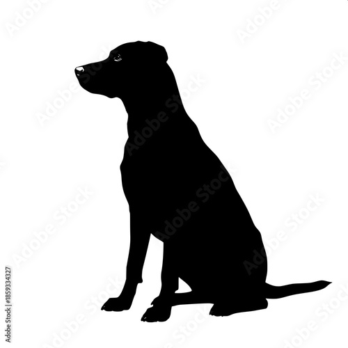 Contemporary animal silhouette art featuring a Labrador-like dog, balanced composition, flat lighting.”