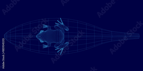 A wireframe frog model rendered in 3D with realistic detail sits on a solid blue background.