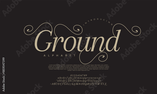 Luxury wedding alphabet letters font with tails. Typography elegant classic lettering serif fonts and number decorative vintage retro concept for logo branding. vector illustration