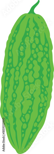 Vibrant green bitter melon illustration on white background