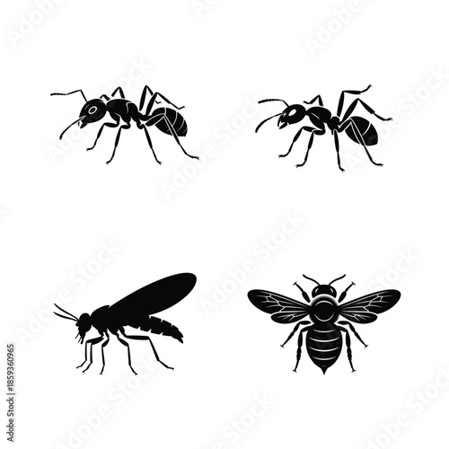 Insect vector silhouette bundle set 