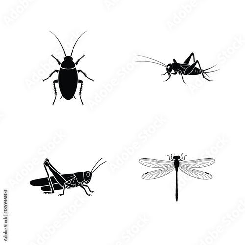 Insect vector silhouette bundle set 
