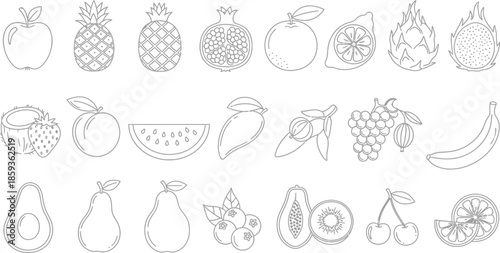 Variety of fresh fruits illustrations in simple line art
