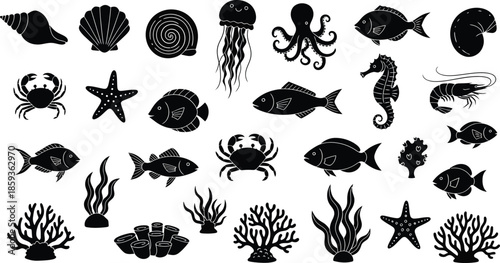 Black silhouettes of various ocean creatures and coral