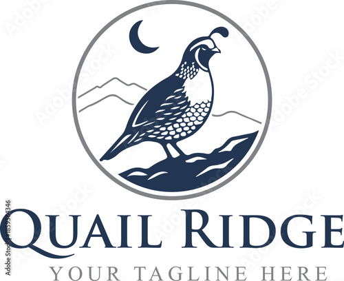 Quail adventure logo design for download