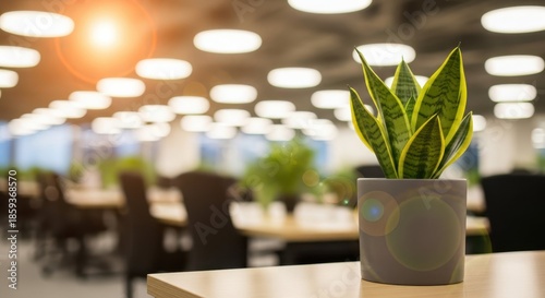 Zen Office Ambiance: A close-up view of a vibrant plant placed on a table in an office, fostering a serene and focused work environment.