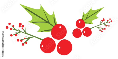 Vector illustration of holly berry clipart for Merry Christmas or winter session  