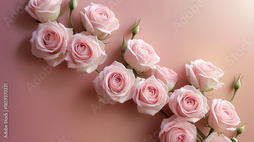 A vertical delicate bouquet of pink roses runs along a soft pink backdrop, creating a romantic valentine mood perfect for greeting cards, romance themes and love celebration visuals