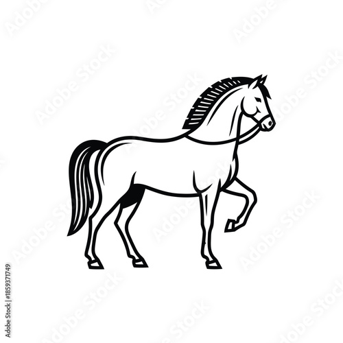 Black and White Horse Illustration.