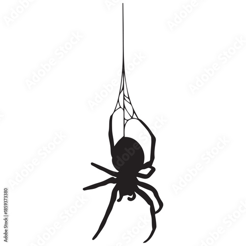 Black spider hanging from web on white background