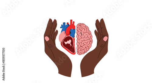 Two dark-skinned hands gently holding a combined human heart and brain symbol representing the balance between logic and emotion.