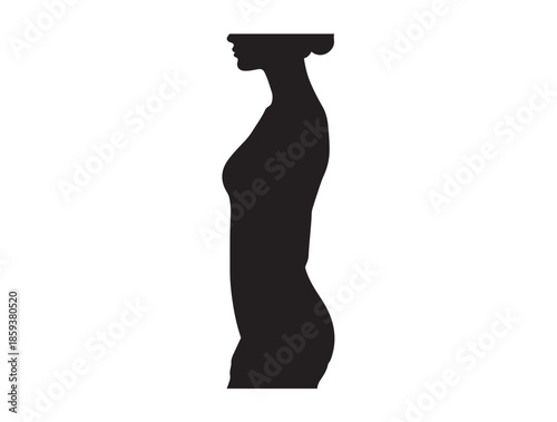  Torso Proportion in silhouette white background.