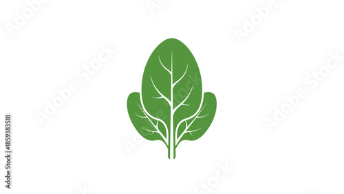 A stylized illustration of a green leafy plant with prominent veins, on a white background