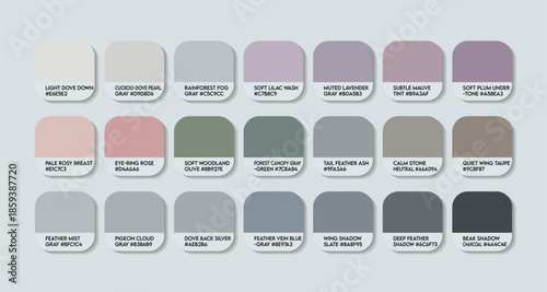 Great Cuckoo-Dove Color Palette with HEX Codes. bird in the pigeon family color Tone Swatch Chart. Bird colors with HEX Codes and Color Names. animals ash grey color palette vector for any kind design
