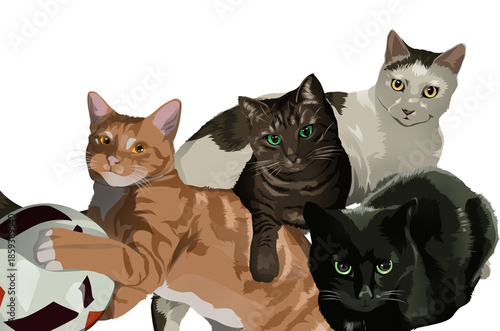 set of cats