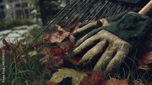 Decorative shrub shaping enhancing garden design aesthetics