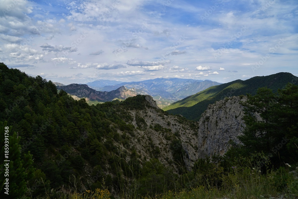 Fototapeta premium Beautiful natural landscape of the forest mountains in the summer time. Rainforest ecosystem, forested mountain. Natural scenery tropical green forest. Travel photo, nobody