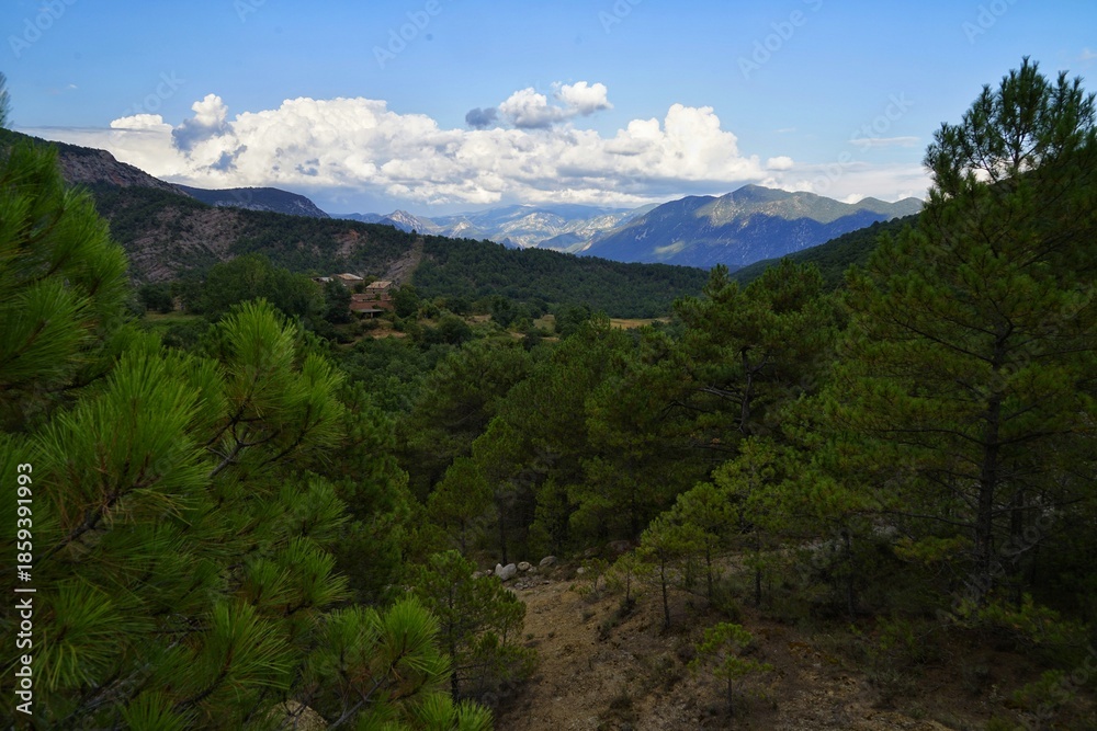Fototapeta premium Beautiful natural landscape of the forest mountains in the summer time. Rainforest ecosystem, forested mountain. Natural scenery tropical green forest. Travel photo, nobody