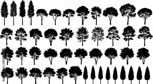Black Tree Silhouettes Vector Set Featuring Various Deciduous and Coniferous Species for Architectural Visualization Landscape Design and Nature Graphic Illustration Patterns