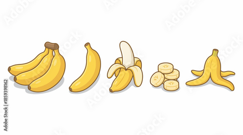 Banana Vector Set Showing Bunch, Whole, Peeled, Sliced, and Peel Variants for Educational, Culinary, and Healthy Eating Graphic Design Illustration Use